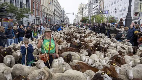 Imágenes de archivo de la Fiesta de la Trashumancia (de izquierda a derecha): en la calle de Alcalá, Casa de Campo y en la plaza de Cibeles.