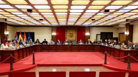 pleno extraordinario