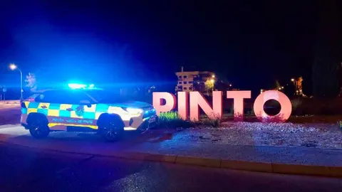 policia local pinto