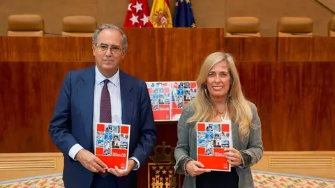 La consejera Albert ha presentado hoy el proyecto de Ley en la Cámara autonómica - Foto Comunidad de Madrid