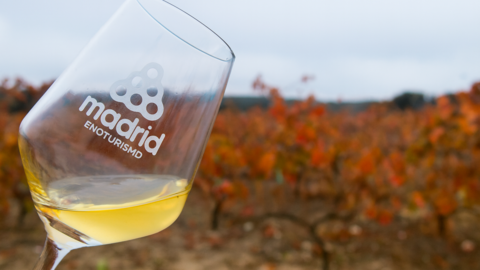 Vinos de Madrid