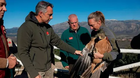 El consejero Novillo, en el Centro de Recuperación Félix Rodríguez de la Fuente - Foto Comunidad de Madrid