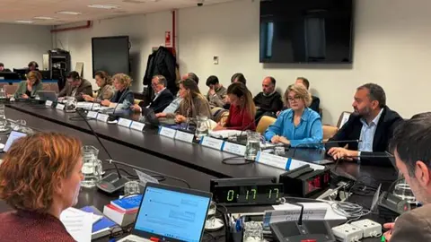 Rivera de la Cruz, en un momento de la Comisión de Presupuestos municipal de este lunes en la que ha presentado las cuentas de su Área para 2026 - Foto Ayuntamiento de Madrid