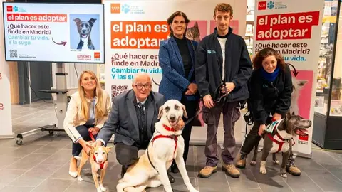 Campaña El Plan es adoptar - Foto Comunidad de Madrid