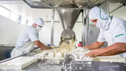 Madrid transforma las aguas residuales de la industria l&aacute;ctea en riego y biopl&aacute;sticos gracias al proyecto WAVE