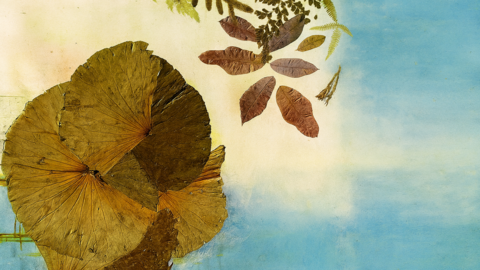 1 Obra de Fran Lara Peña