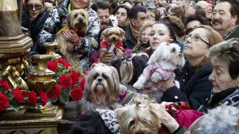Procesi&oacute;n de San Ant&oacute;n | Foto de Ayuntamiento de Madrid