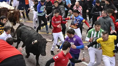 Segundo Encierro Blanco de San Sebasti&aacute;n de los Reyes