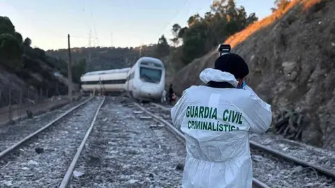 El tren Alvia siniestrado en Adamuz - Foto Guardia Civil