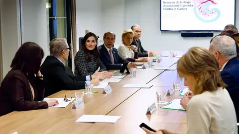 La Reina en la sede de la AECC - Foto Casa del Rey