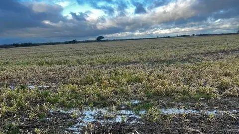 Inundaciones en febrero 2026 - Foto de Agroseguro