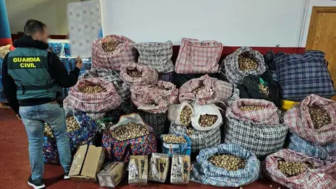 Incautaci&oacute;n Guardia Civil