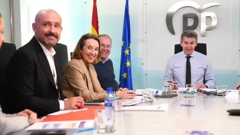 Alberto N&uacute;&ntilde;ez Feij&oacute;o preside el Comit&eacute; de Direcci&oacute;n del PP - Foto de PP/David Mudarra