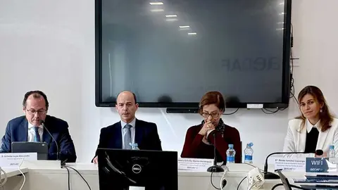Foto de la Asociaci&oacute;n Espa&ntilde;ola de Asesores Fiscales (Aedaf) en la presentaci&oacute;n