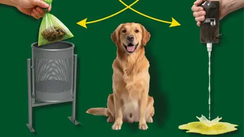 Cartel Campa&ntilde;a Concienciaci&oacute;n Bienestar Animal 2026 - Imagen del Ayuntamiento de Parla