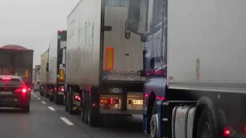 Camiones en carretera