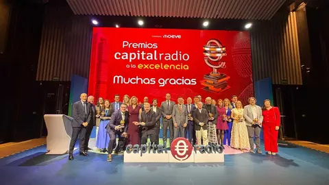 Premio a la Excelencia en Innovaci&oacute;n