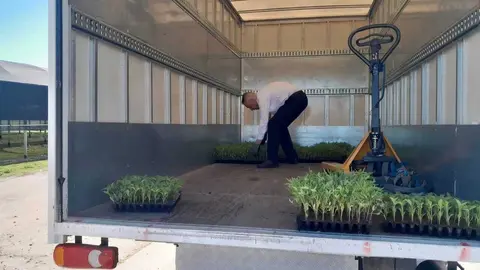 Plantones - Foto Comunidad de Madrid