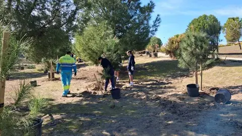 Actividad realizada con motivo del D&iacute;a del &Aacute;rbol