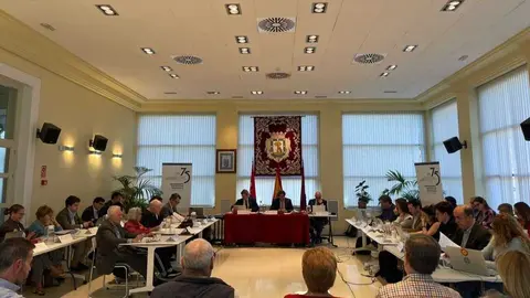 P&eacute;rez presidiendo el Pleno de la Junta de Hortaleza