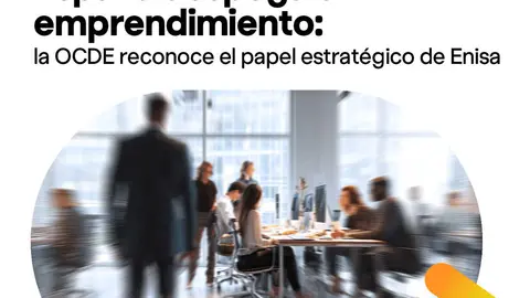 Enisa - Imagen de la OECD