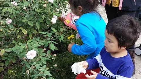 Real Jard&iacute;n Bot&aacute;nico