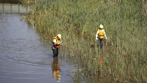 Operarios en el r&iacute;o Manzanares, durante los trabajos para combatir a la mosca negra. Imagen de archivo