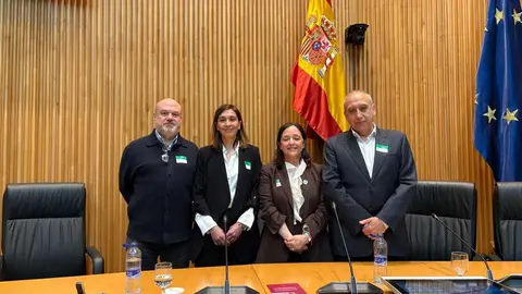 Izda a dcha, Ángel Sánchez AEPNAA, Cristina Ortega SEICAP, María José Torres EAACI e Ignacio Ávila SEAIC 