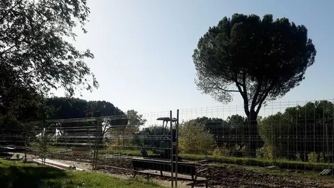 Parque Arriaga - Madrid