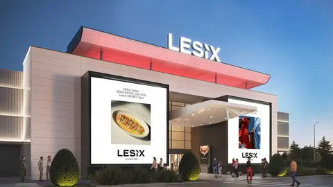 Acceso principal Lesix