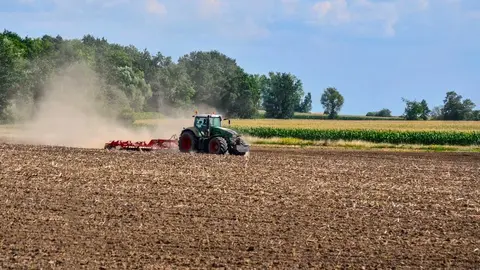 El informe aporta evidencia cient&iacute;fica para dise&ntilde;ar la futura PAC. / Pixabay