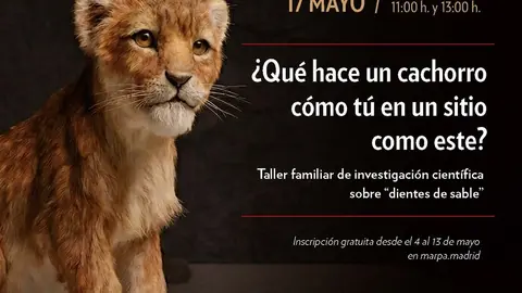 Cartel D&iacute;a de los Museos 2026
