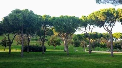 Imagen de archivo de parque madrile&ntilde;o