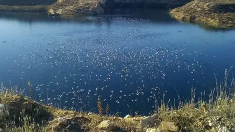 Explotaci&oacute;n minera de sepiolita en las Lagunas de Ambroz