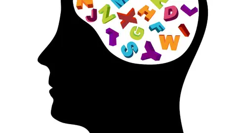 Nebrija estudio cerebro