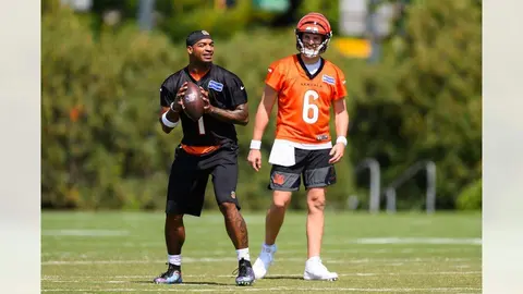 Cincinnati Bengals