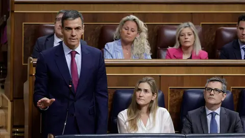 Pedro S&aacute;nchez durante su intervenci&oacute;n en el Pleno del Congreso | Foto de Pool Congreso