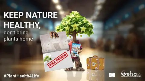 La EFSA activa su campa&ntilde;a anual para blindar la sanidad vegetal frente a la llegada de plagas ex&oacute;ticas - Imagen de EFSA