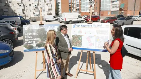 Momento de la presentaci&oacute;n del plan en Ciudad Lineal - Foto Ayuntamiento de Madrid