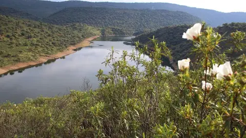 Parque Nacional de Monfragüe - Foto de SEO BirdLife. Autor: Wikicommons_FrDr