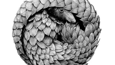 &lsquo;Pangol&iacute;n&rsquo;, de Raquel Reis Silva, Premio Ilustraci&oacute;n Naturalista en Illustraciencia 13.