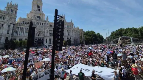 Manifestaci&oacute;n Sanidad - X @VecinasSanidad 