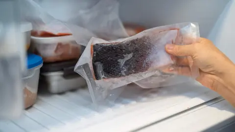 Los experimentos se realizaron con salm&oacute;n, at&uacute;n y merluza. / iStock