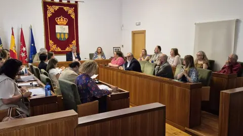 Pleno del Ayuntamiento de Villanueva de la Ca&ntilde;ada - Foto Ayuntamiento de Villanueva de la Ca&ntilde;ada