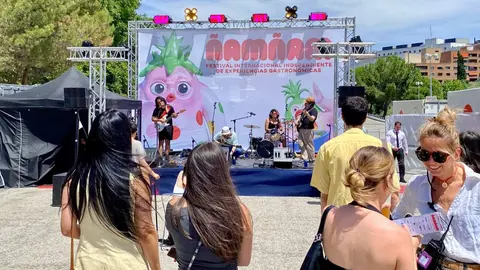 Festival gastron&oacute;mico internacional &Ntilde;am &Ntilde;am