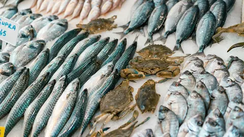 Pescado y cangrejos congelados en un comercio - Foto de Alex P de Pexels