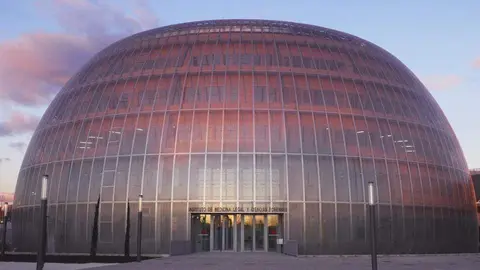 Instituto de Medicina Legal y Ciencias Forenses (IMLCF)
