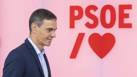 Pedro S&aacute;nchez | Foto de PSOE/Eva Ercolanese