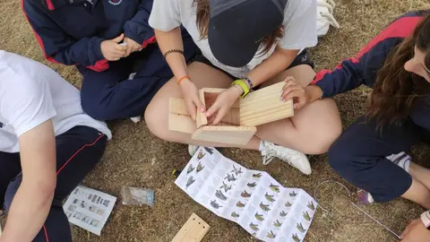 Campamentos infantiles gratuitos en Arroyomolinos - Foto Comunidad de Madrid