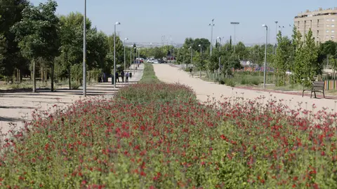 El Ensanche de Vallecas gana una zona verde de 40.000 m2